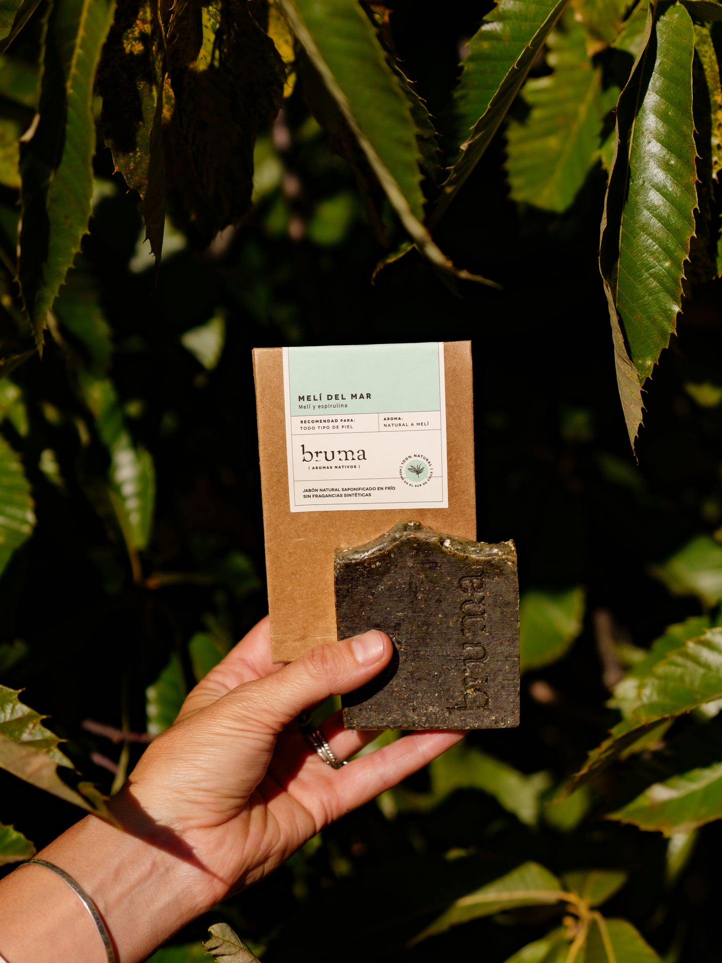 Seaside Melí  – Spirulina, green clay & melí leaves