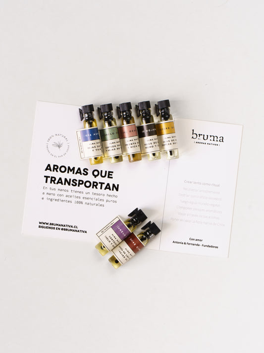 Set Explora Bruma